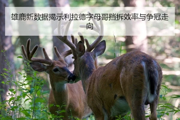 雄鹿新数据揭示利拉德字母哥挡拆效率与争冠走向